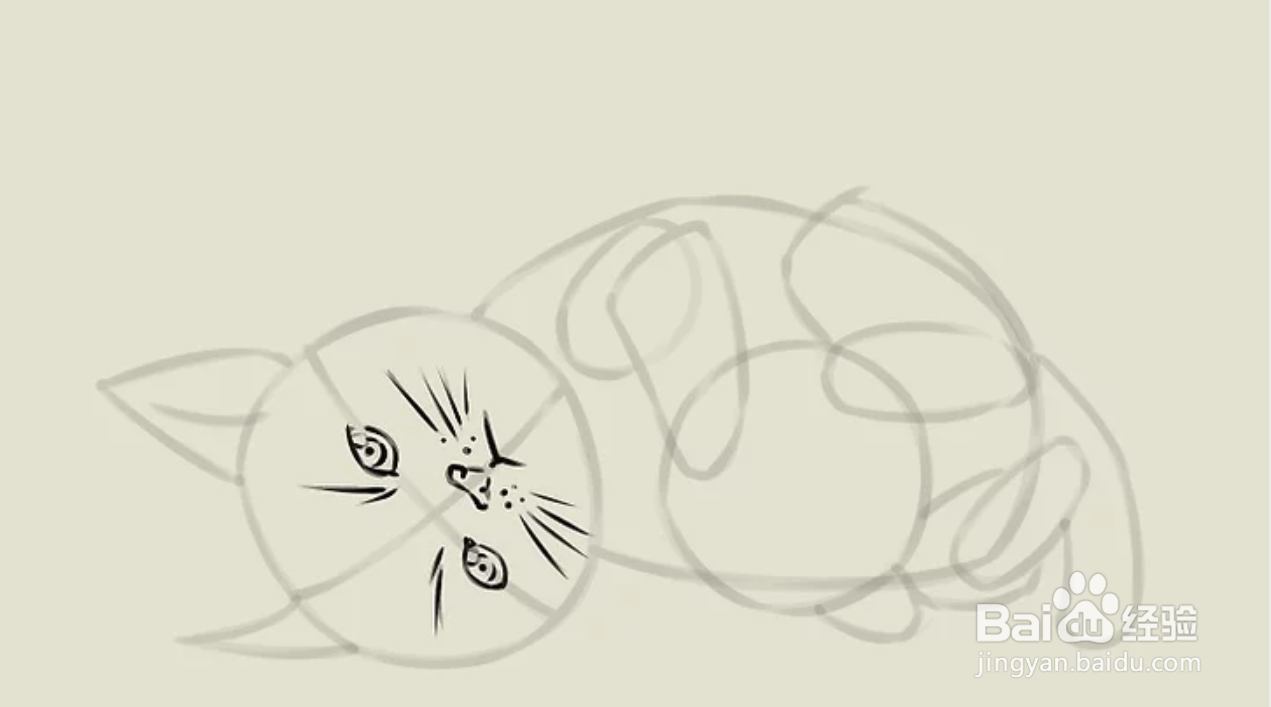 如何简单的画猫咪
