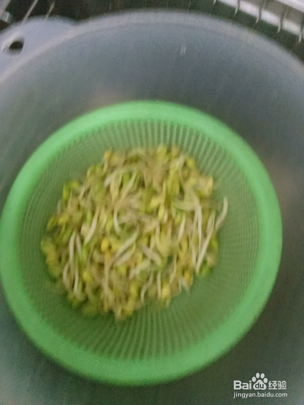 简单豆芽炒菠菜