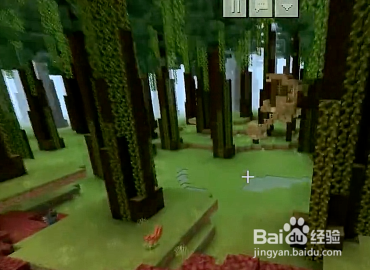 我的世界幽灵鱼怎么找？