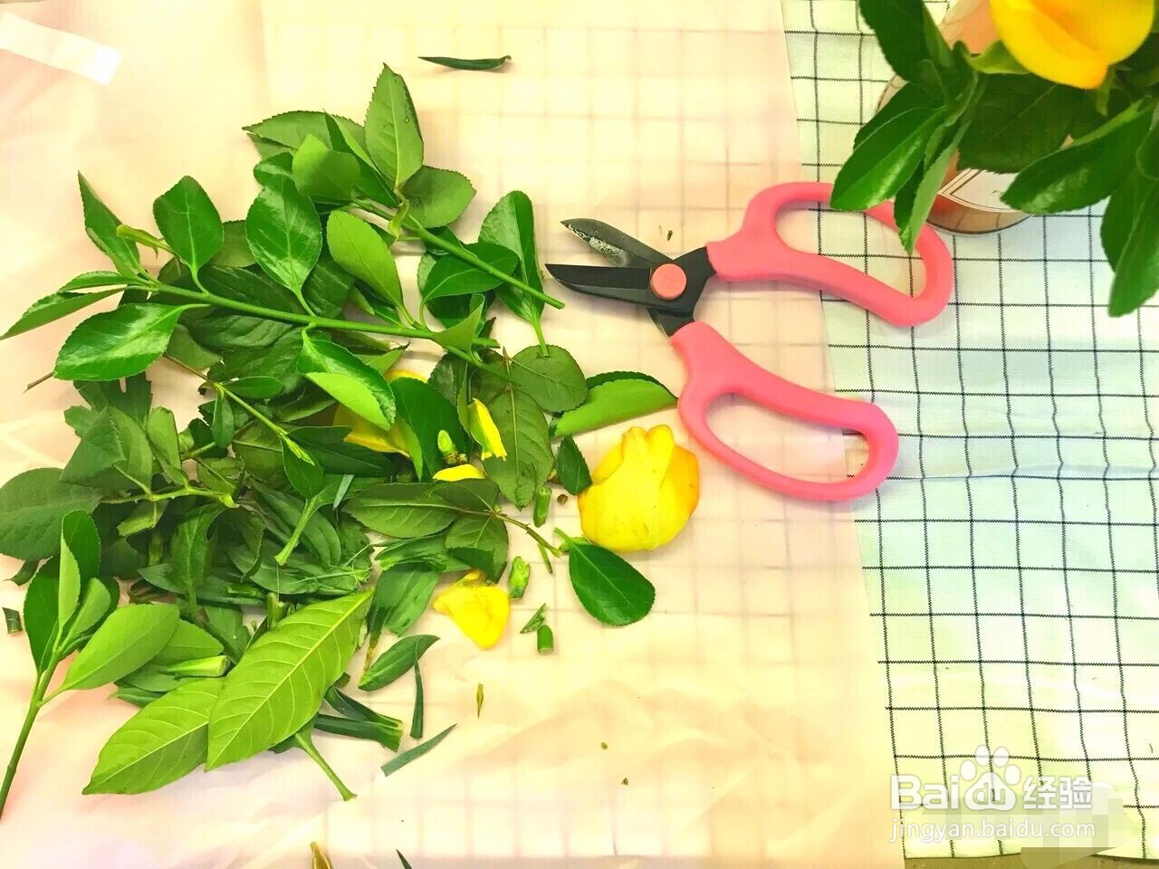 鲜花怎么养护会活得长一点