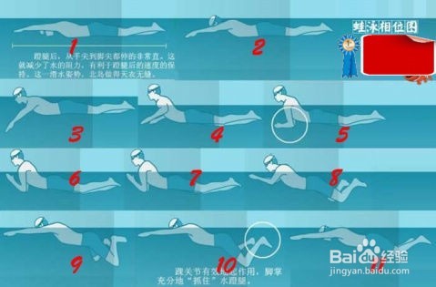 如何快速学会蛙泳？