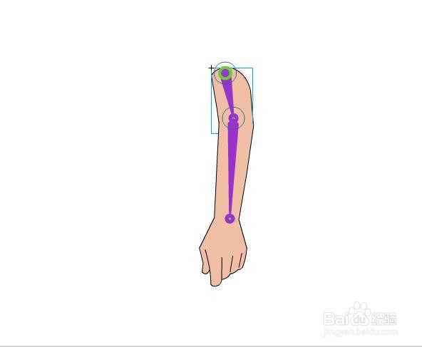 flash用骨骼工具制作手臂弯曲的效果