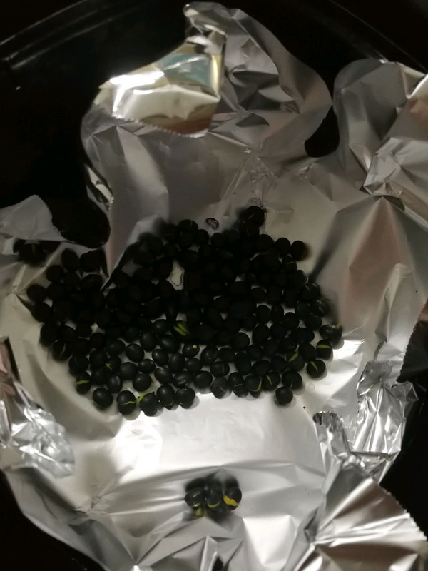 当归红枣黑豆炖蛋