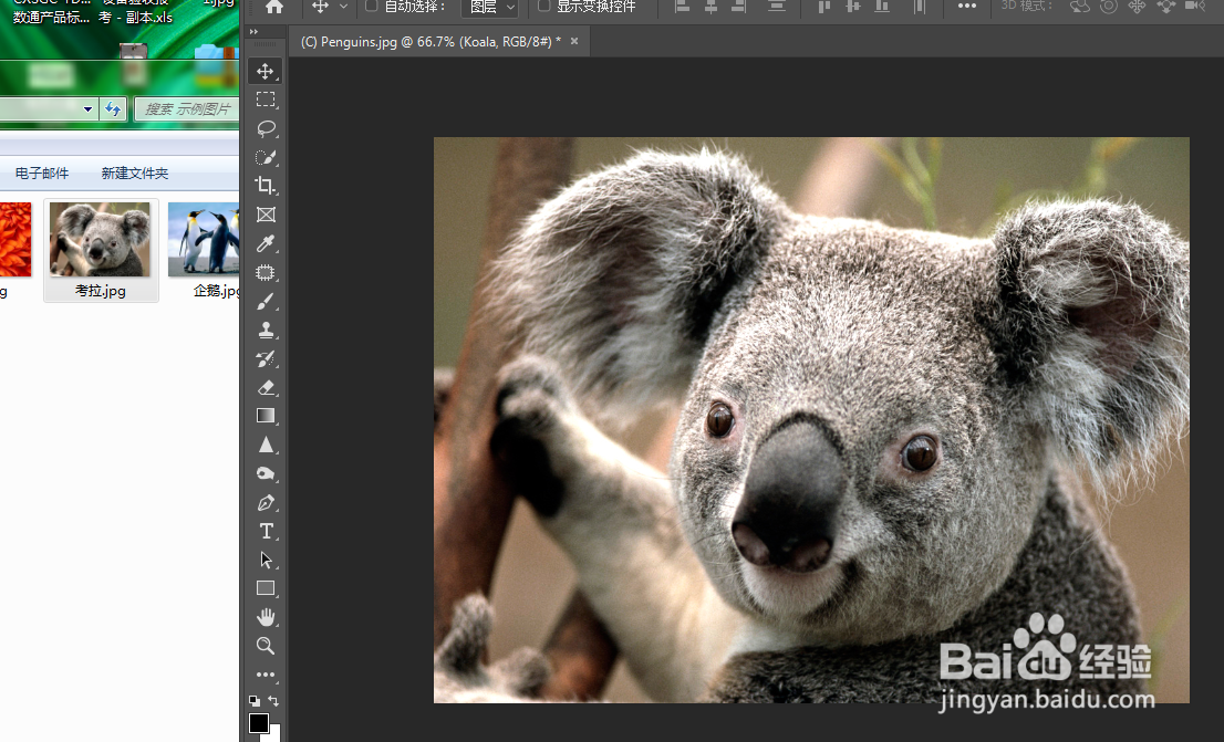 PS怎么插入图片?