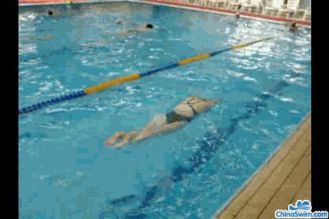 怎样通过找腰找波浪来学习蝶泳