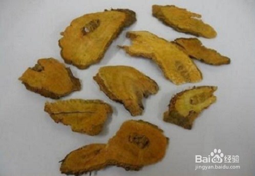 大黄的作用与禁忌