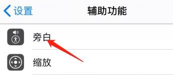 苹果手机怎么设置旁白的详细度