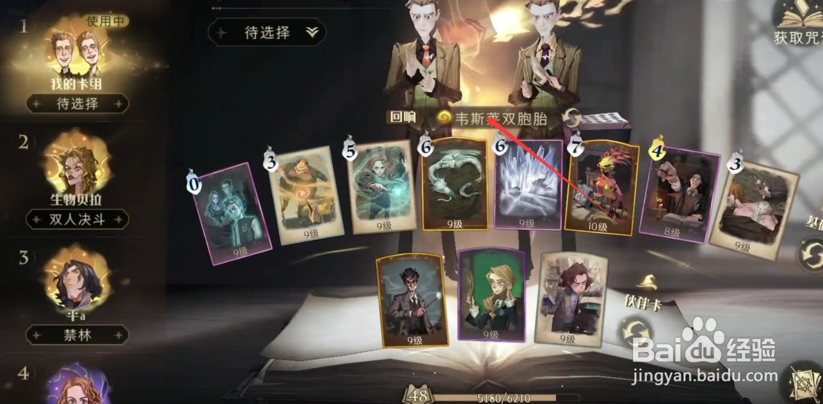 哈利波特魔法觉醒乌龟流怎么配