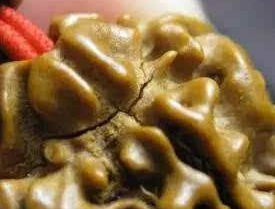 龙鳞纹小金刚盘玩攻略