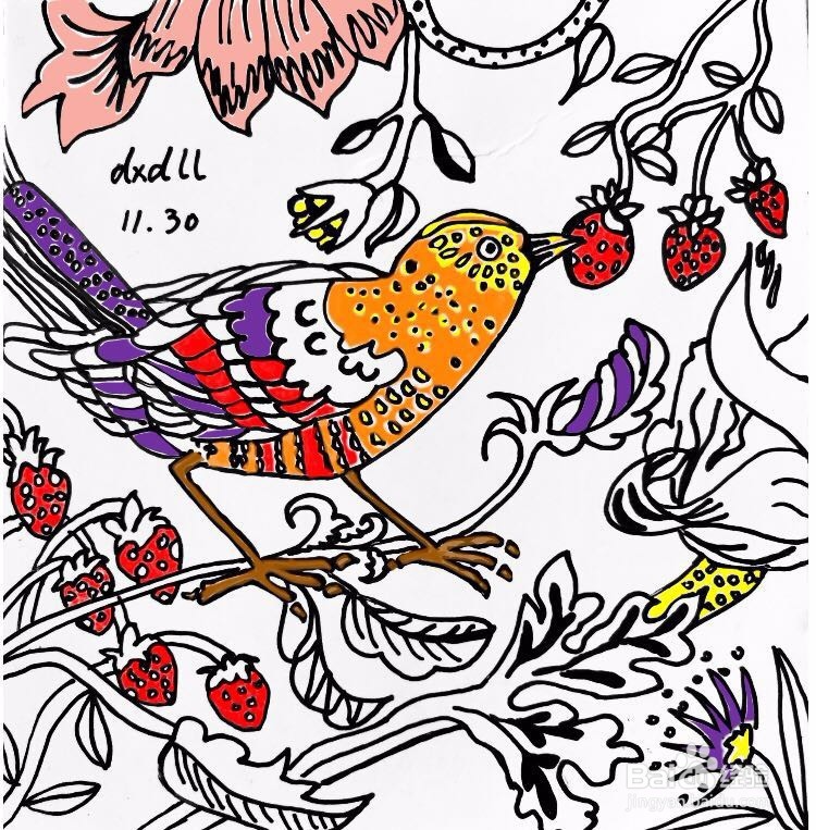 茉莉水彩手绘之富贵吉祥鸟