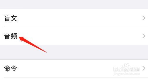 怎么查看iPhone旁白中的同步聚焦