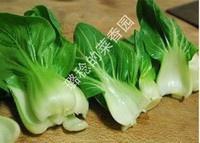 味美鲜香的白果青菜粥