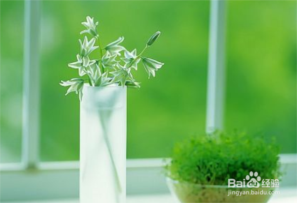 新装修的房子怎么去除房子内的甲醛