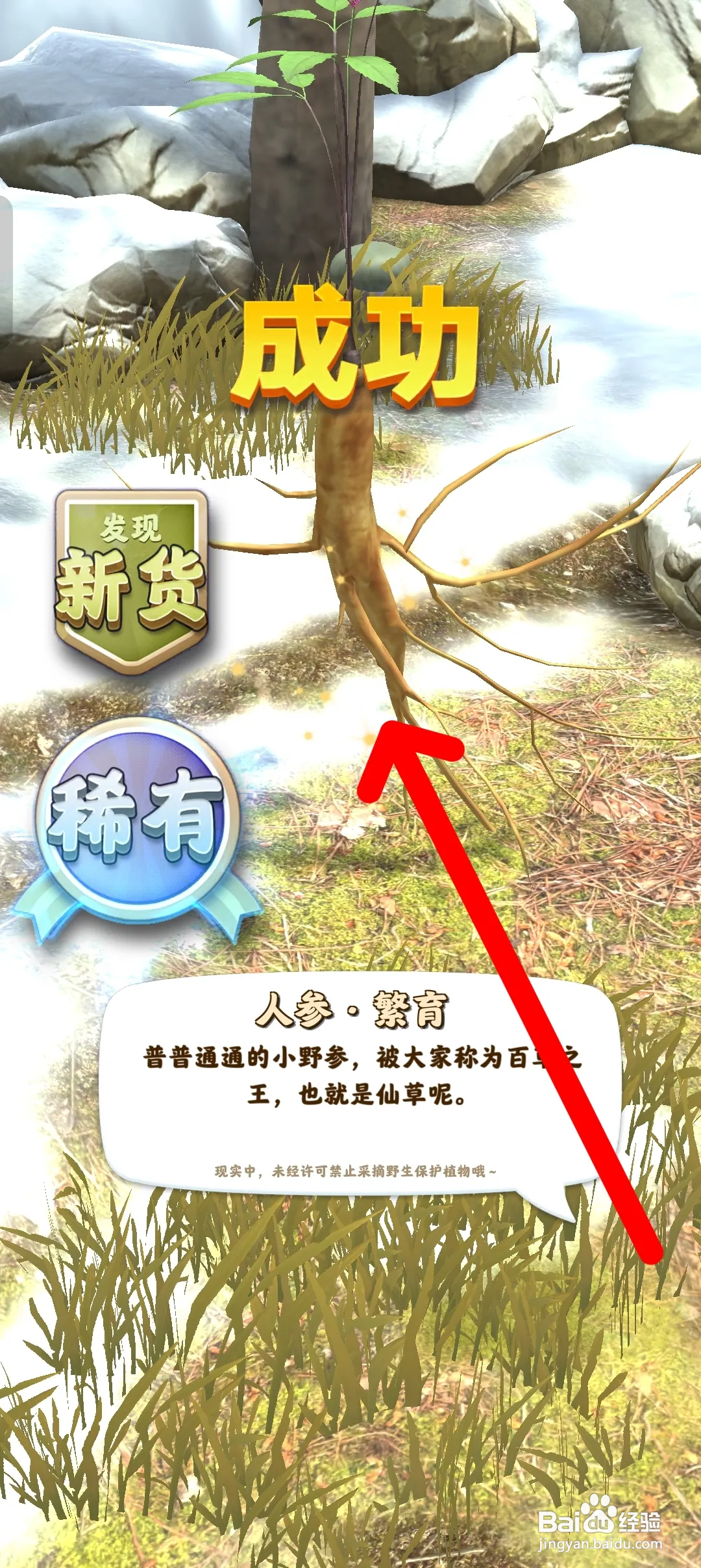 夺笋高手如何获得人参