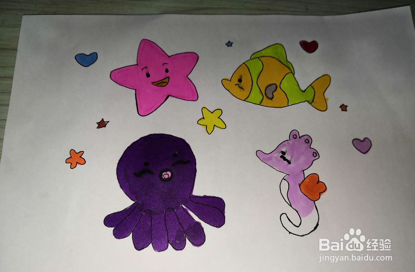 海洋生物简笔画彩色