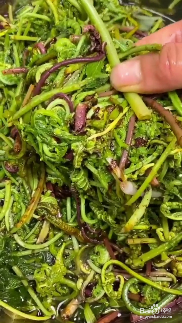 如何蒸出好吃的野菜团子