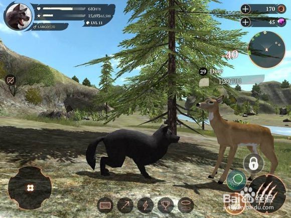 终极灰狼模拟2遇到狼群怎么办