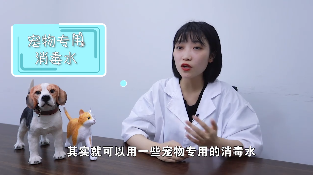 超市里的消毒水对宠物有害吗