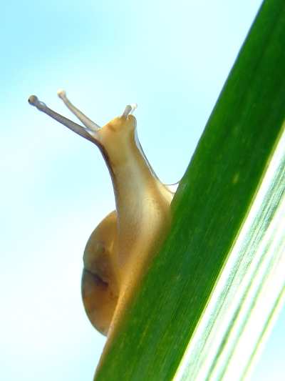 小有小的好——数码相机选购八项注意