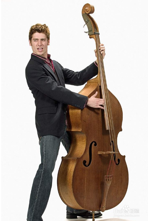 低音提琴怎么演奏