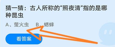 猜一猜:古人所称的“照夜清