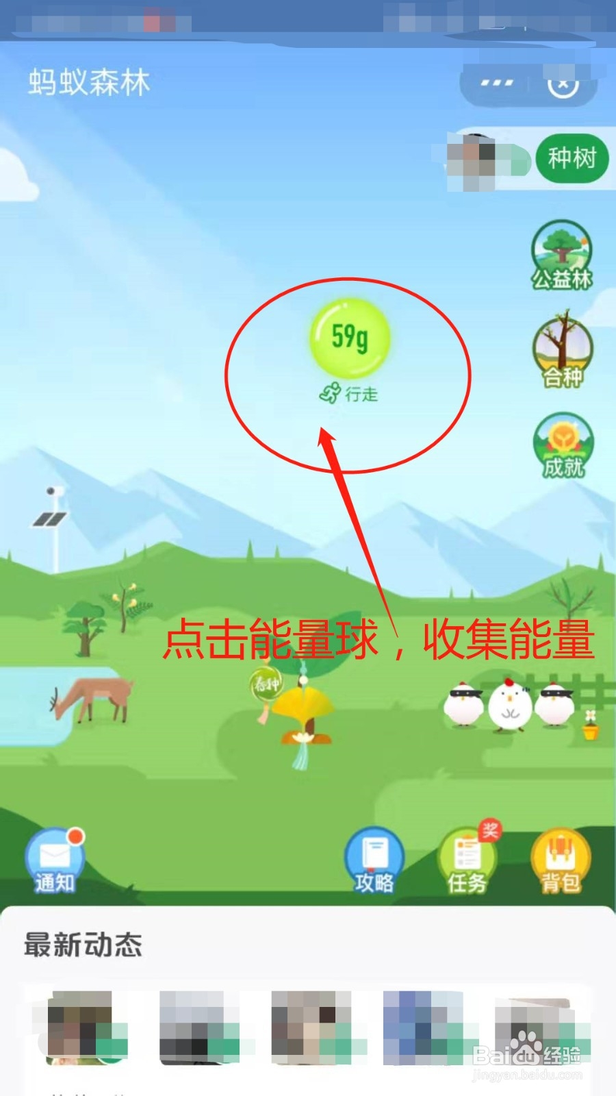 支付宝蚂蚁森林怎么种树呢？