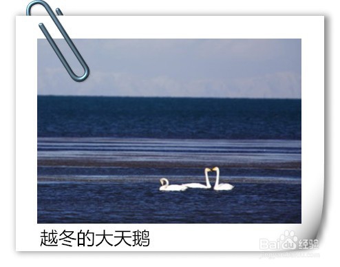 <b>冬季青海湖旅游攻略</b>