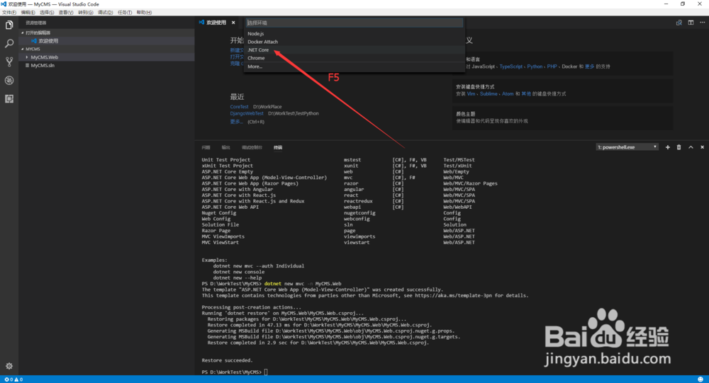 使用VS2017开发.Net Core MVC Web Application
