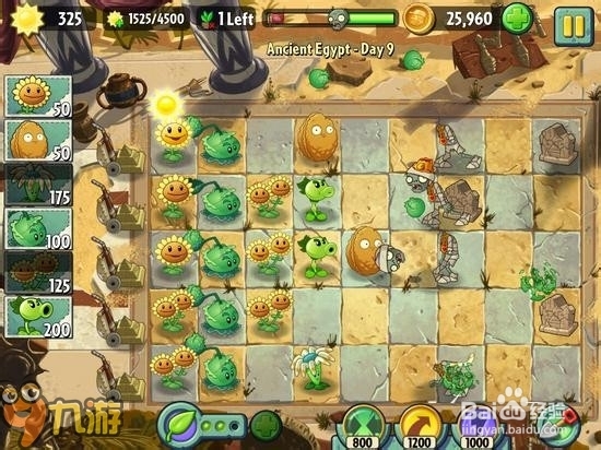 【图解】手机版《植物大战僵尸2》埃及第九关