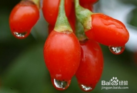 这3物泡水，降三高还减肥？