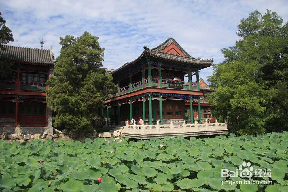 河北 保定 古莲花池