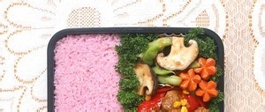 条纹几何造型便当