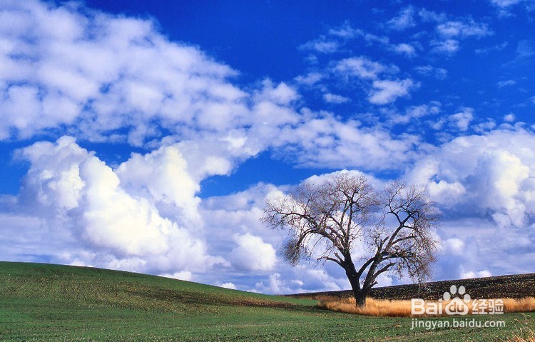 新手卖家店铺流量提高的几个小方法