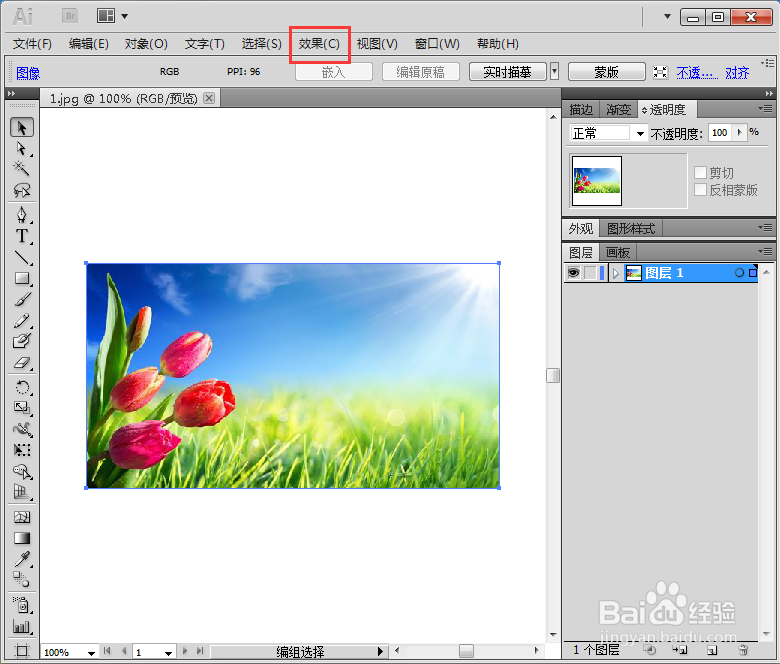 在AI 2019中给图片添加墨水轮廓效果