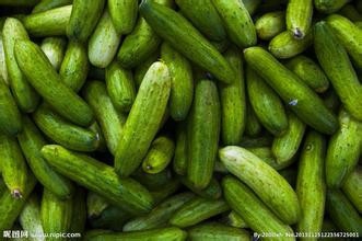 如何选黄瓜和黄瓜有哪些种类?