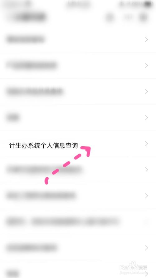 计生办系统查询个人信息