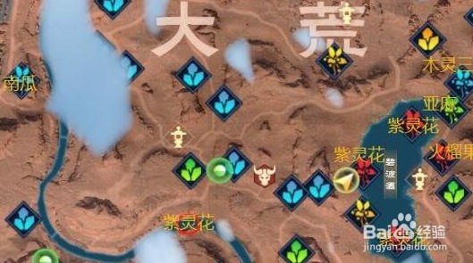 太荒初境金矿位置在哪