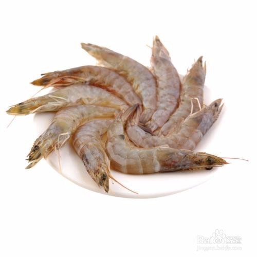 怎样把握养殖对虾收获的时机