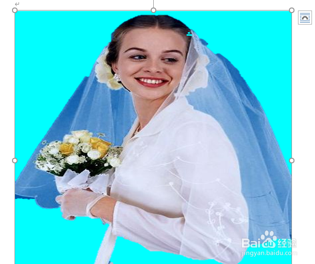 word如何变更图片的大小尺寸？