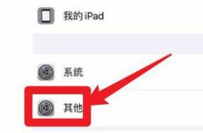 ipad其他系统数据是如何清理的