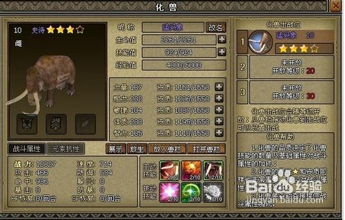 《猎人外传》的新手指导