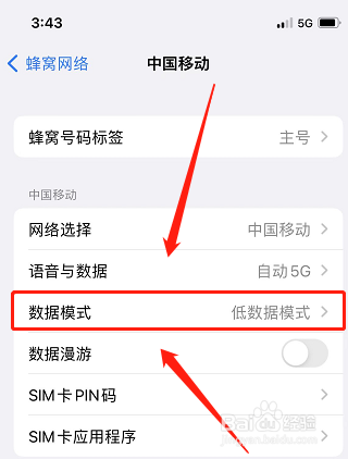苹果低数据模式