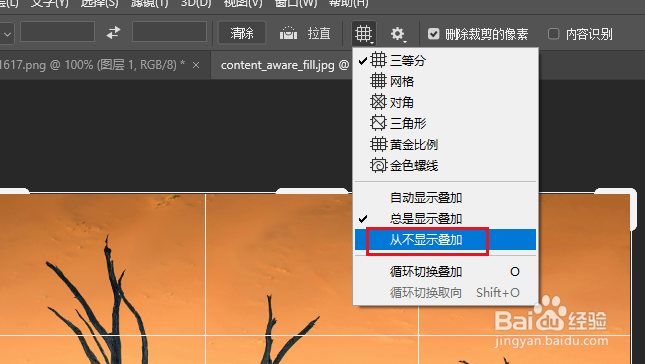 Photoshop 如何显示或隐藏裁剪时出现的网格线