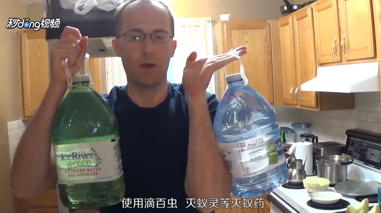 家里有小红蚂蚁怎么办？