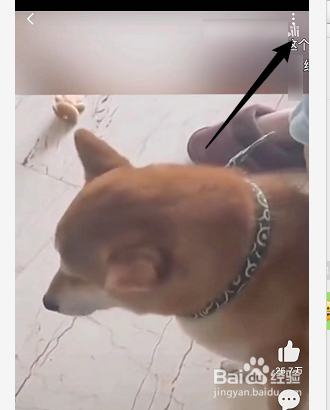 哔哩哔哩怎么下载视频
