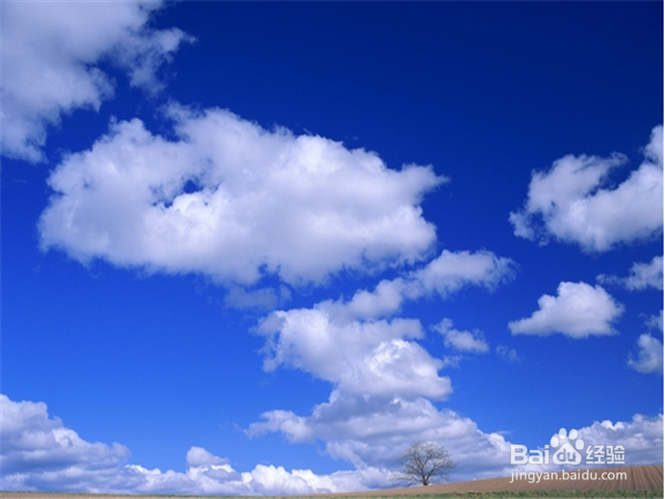 挚友之间的相处之道应该是怎样的?