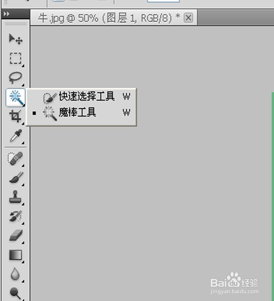 如何使用PS中魔棒工具进行简单抠图和换背景
