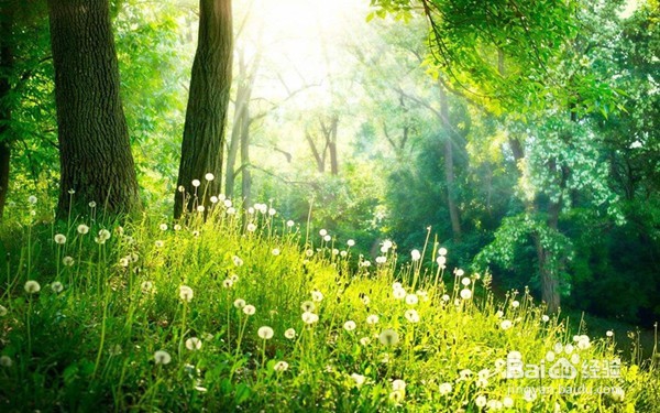 父母可能遗传疾病,让负离子“防范于未然”