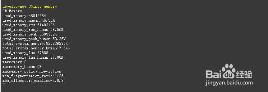 Redis Info 的详细介绍