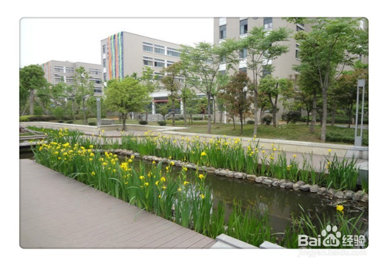 初中教学楼前怎样绿化